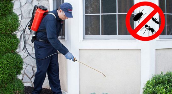 Çakmaklı Bit İlaçlama böcek ilaçlama ve haşere kontrolü — ilaclama-tr.com